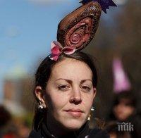 Отварят музей на вагината в Лондон