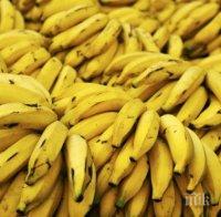Спипаха над тон кокаин, скрит в контейнер с банани в Италия