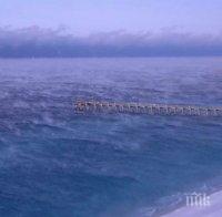 Арктически студ скова САЩ