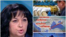 ПРЕДИ ЗИМАТА: Теменужка Петкова обясни ще има ли газова криза заради претенциите на Путин към Украйна, прелива ли Чирен и ще работи ли АЕЦ "Белене" с ядрено гориво от САЩ