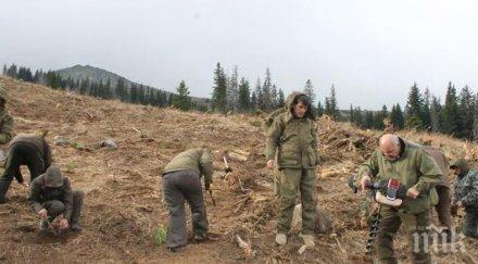 акция залесяване широколистни фиданки землището село драговищица