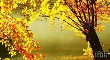 звездите говорят бъдете внимателни подписвайте документи давайте заеми