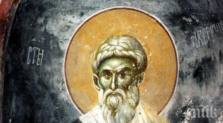 свят ден празникът един великите светители заслужил почит