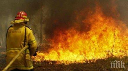 обвиниха австралиец умишлен палеж опитал защити плантацията канабис