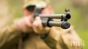 простреляха домашно куче законно оръжие