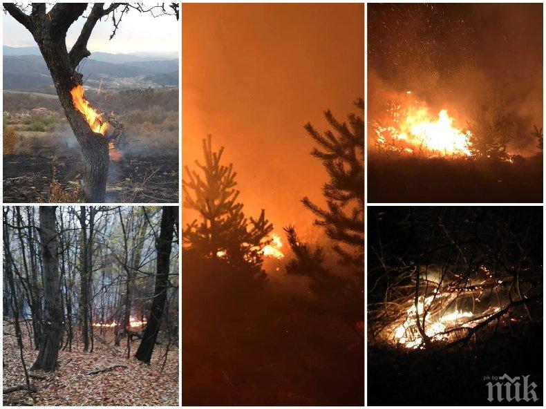 Голям пожар горя край Трявна 