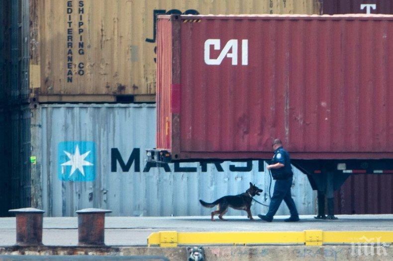Половин тон кокаин в контейнер с рибено масло заловиха в Барселона
