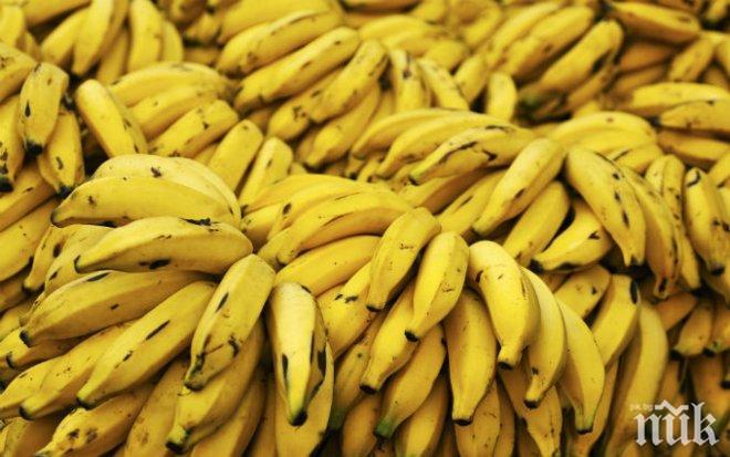Спипаха над тон кокаин, скрит в контейнер с банани в Италия