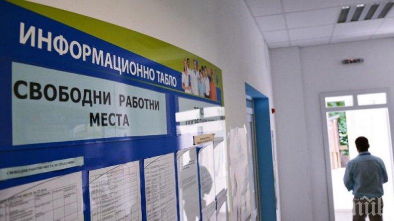 СТРЯСКАЩИ ДАННИ ОТ НСИ: Всеки пети безработен никога не е работил