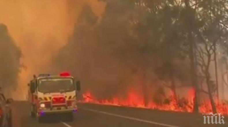 Пожарите в Австралия отново се разгарят