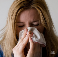 Учени разкриха каква диета защитава от грип
