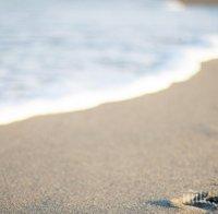 Търсят концесионери за три морски плажа