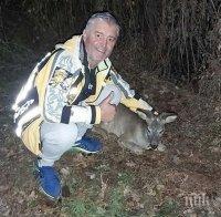 ДОБЪР ПРИМЕР: Глутница кучета нападна малко еленче, смелчага от Кюстендил го спаси