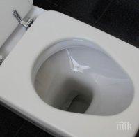 Слагат над 90 химически нужници в паркове, паркинги и спирки в Пловдив