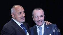 ПЪРВО В ПИК! Манфред Вебер: Усилията на Бойко Борисов и народа на България се отплащат - трябва да бъде вдигнат мониторингът над България