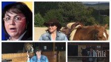 Ива Николова за патологията на лъжата: Нинова, къде я намери тая зеленина през ноември да яздиш кон?