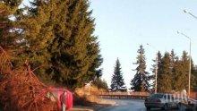 ПО ПЪРВИ ПЕТЛИ: Две коли се удариха в Пампорово (СНИМКИ)