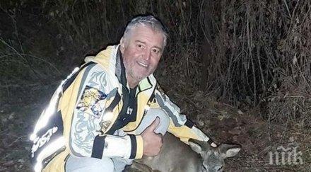 добър пример глутница кучета нападна еленче смелчага кюстендил спаси