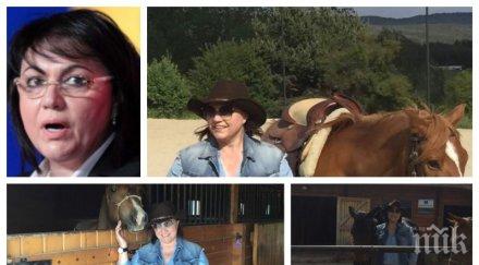 ива николова патологията лъжата нинова намери тая зеленина ноември яздиш кон