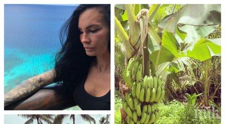 горещо пик цеци красимирова показа прави вижте обяздва жребеца майкъл струмейтис известния инфинити басейн света снимки