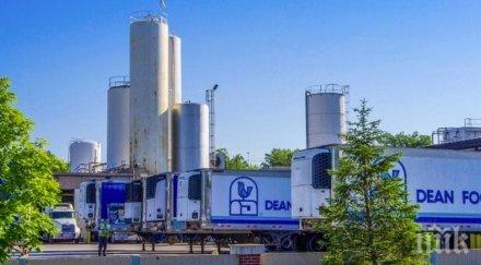 голямата млечна компания сащ фалира