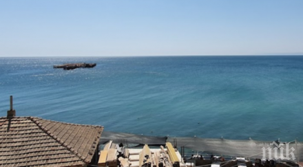 експерт бъдещето морските ферми риби миди