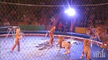 париж забрани дивите животни цирка