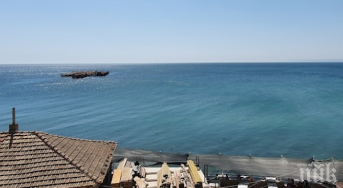 Експерт: Бъдещето е в морските ферми за риби и миди