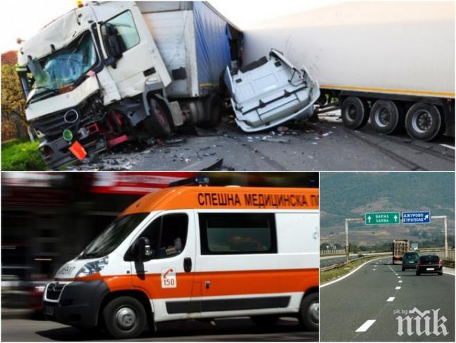 Два камиона се удариха на пътя Плевен - София