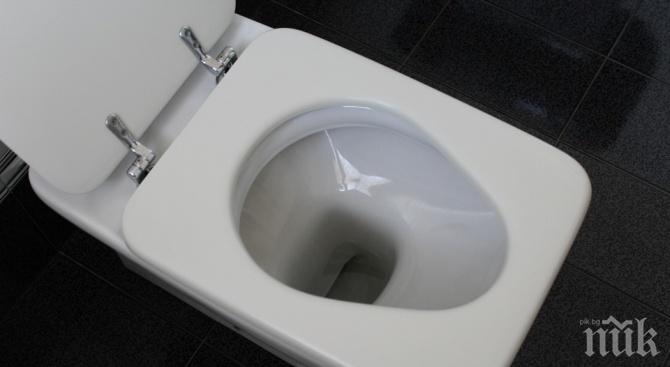 На Световния ден на WC-то - 60% от хората по света нямат тоалетна вкъщи