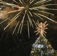 Коледната елха в София грейва на 1 декември