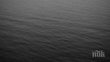Кораб се обърна в Черно море - изсипа над 14 000 овце