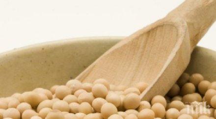 учени предупреждават соевите продукти опасни