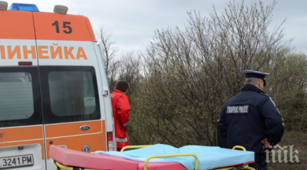 кола помете пешеходец плевен