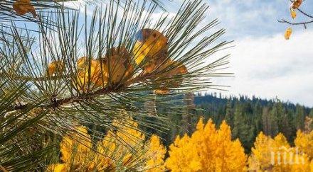 звездите говорят забраваете секса пазете настиване