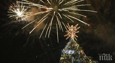 коледната елха софия грейва декември