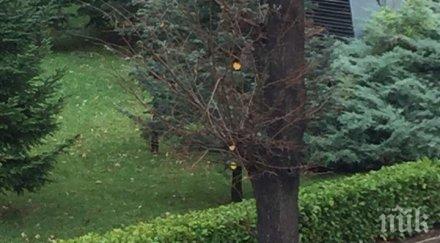 байрактаров сам протеста валери симеонов снимки