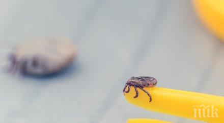 ухапан кърлеж лаймска болест пловдив