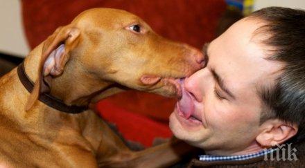 нелепо мъж почина целувка кучето