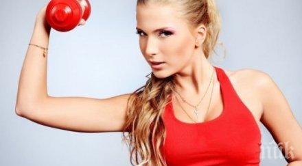 шестте зодии абсолютни луди глави