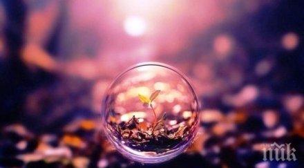 астролог мистична прогноза ноември ден промените