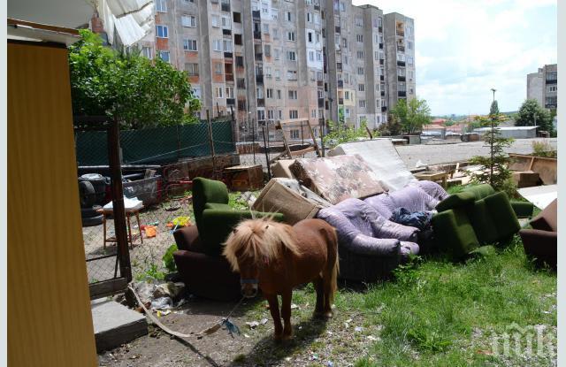 В Монтана строят социални жилища