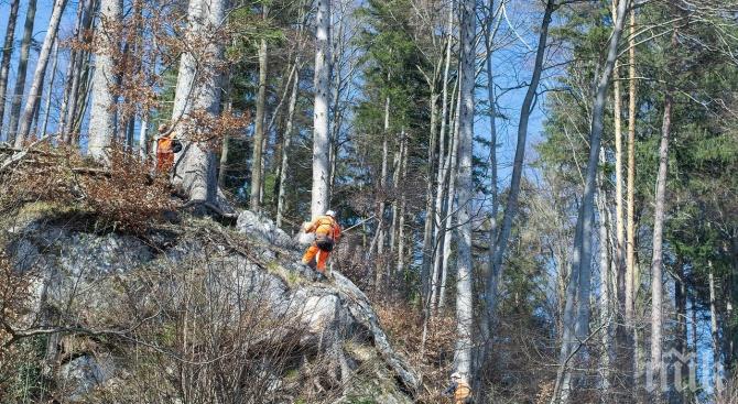 ВАЖНО: Има опасност от падащи камъни по пътищата в Смолянско