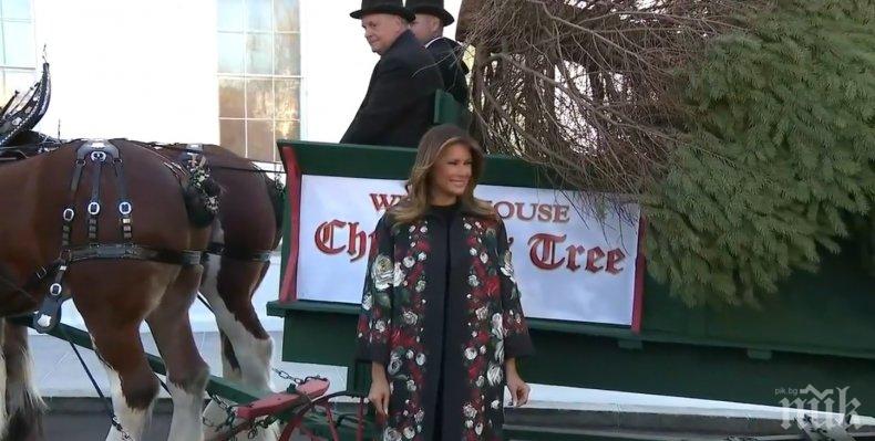 ТРЕСКА В БЕЛИЯ ДОМ: Докато Тръмп чака Бойко Борисов, Мелания посрещна елхата за Коледа (ВИДЕО) 