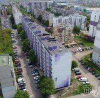 ЗЛОВЕЩА НАХОДКА: Трупове на котки осеяха бургаски квартал (СНИМКИ 18+)