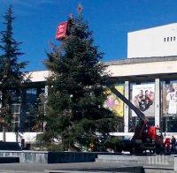 Пазарджик грейва за Коледа на 9 декември