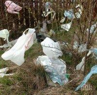 Ванкувър забранява пластмасовите сламки и найлоновите торбички