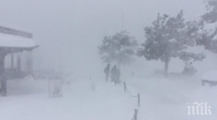 сняг затрупа гранд каньона