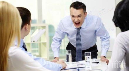 три зодии големи циции