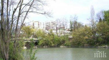 премахват опасни дървета дигите река тунджа градския парк ямбол
